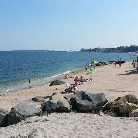 Laura * 艾福雷诺德